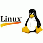 Linux pro práci, Windows pro zábavu
