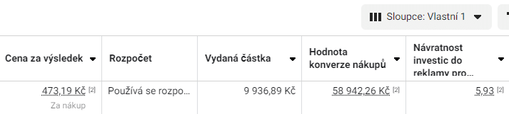 Vyrez tabulky Spravce reklam s hodnotami