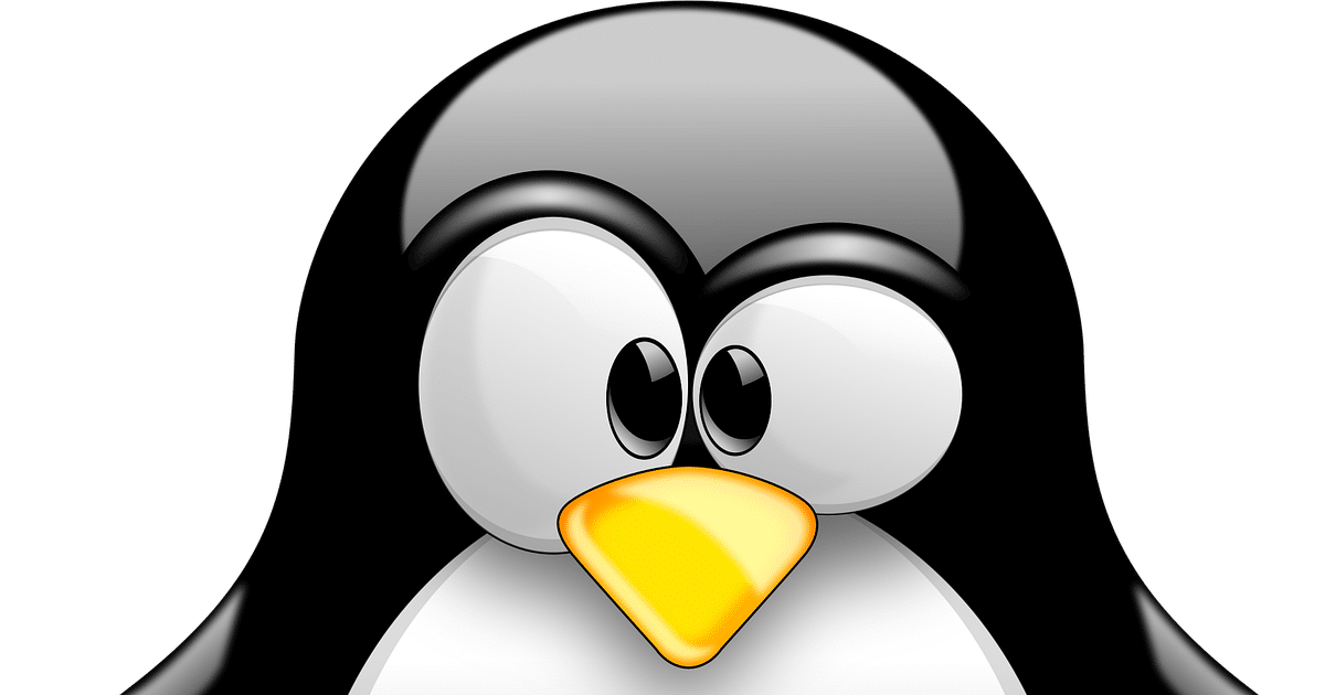 Linux pro práci, Windows pro zábavu