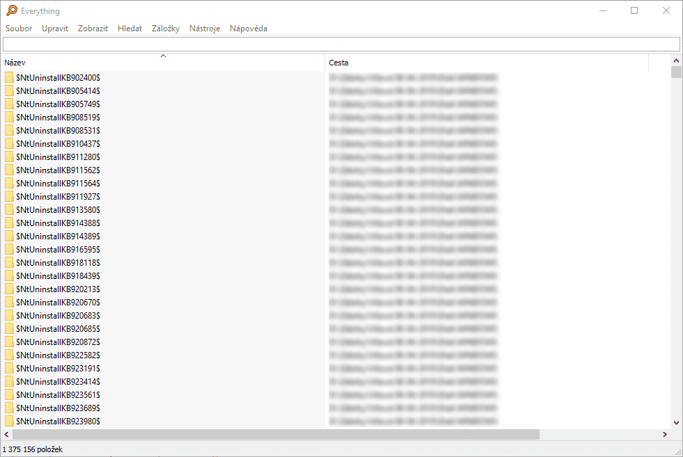 Everything vyhledávání