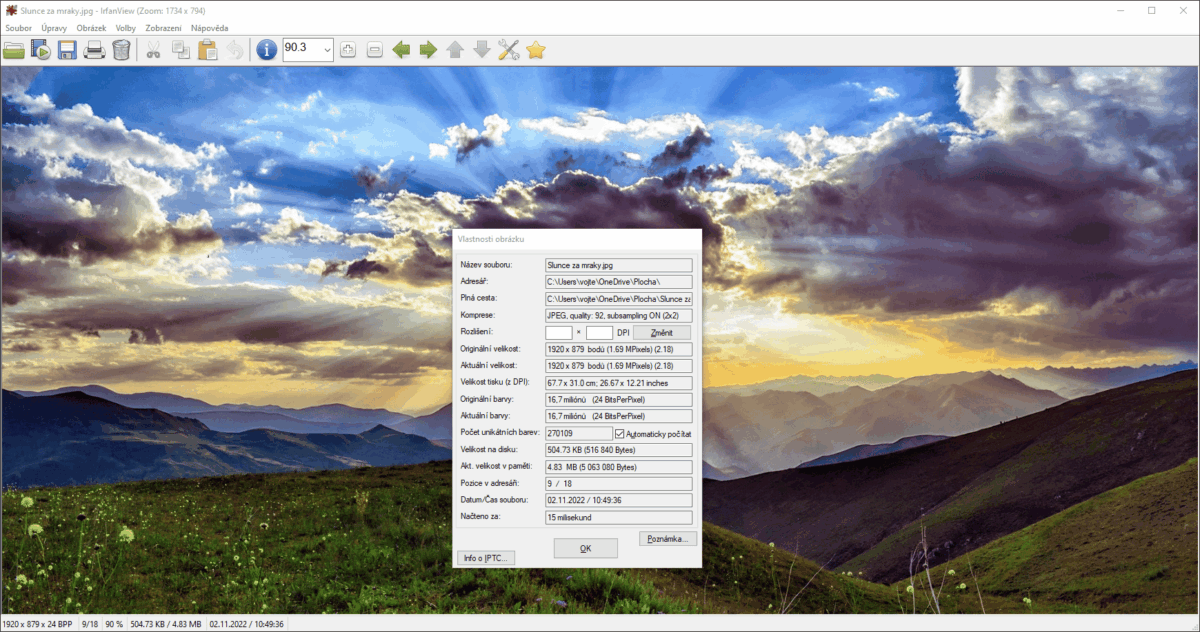 Obrázek v IrfanView se zobrazenými informacemi