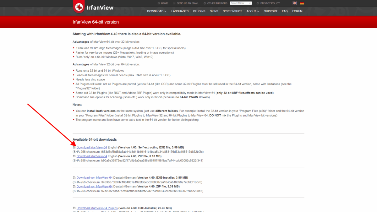 Stažení samo rozbalovacího EXE souboru IrfanView, 64 bit